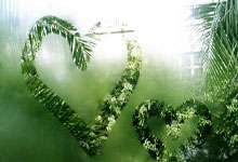 雷火电竞登录-金色眼泪沸腾时：当勇士梦断奥运，球迷的呐喊震碎星空