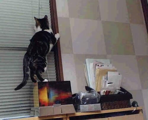 冰冷比分背后，滚烫价值的主旋律，五线谱上只奏响一个音符