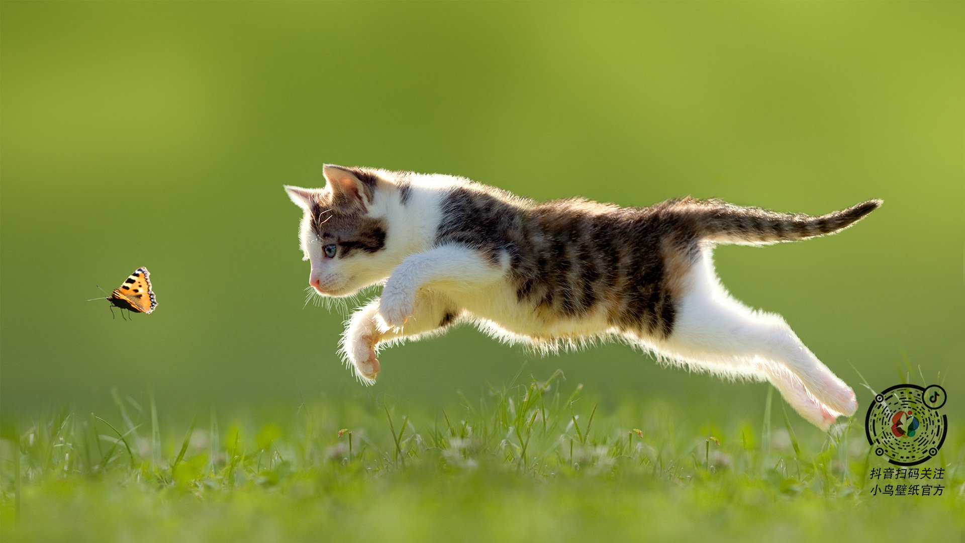 北京队对阵广厦队，当CBA的硝烟遇见杜兰特刷新纪录的看不见的对手