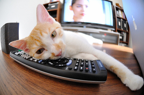 雷火电竞充值-当马里在西非掀起沙暴，梅西在北美按下神之开关