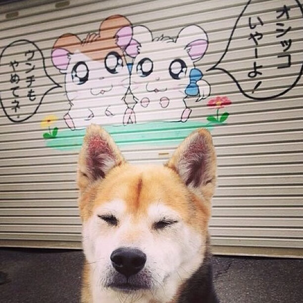 从中场巨兽到沙漠闪电，足球世界里沉默者的爆发哲学