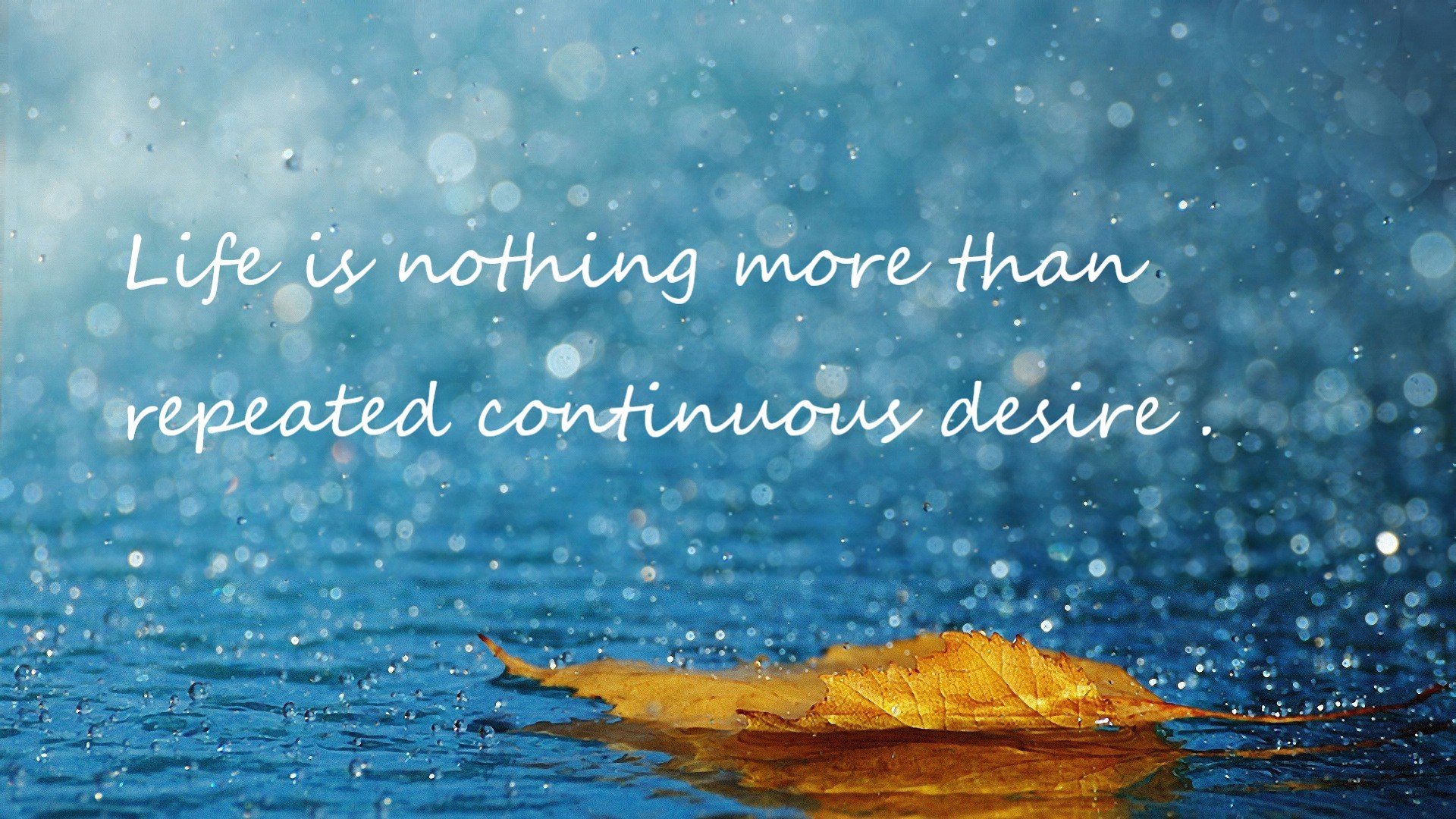 森林狼鏖战三加时击败篮网 文班亚马赛季最具争议关键球一锤定音