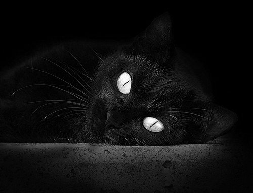 杜兰特狂轰55分刷新CBA纪录，广厦队加时险胜深圳队