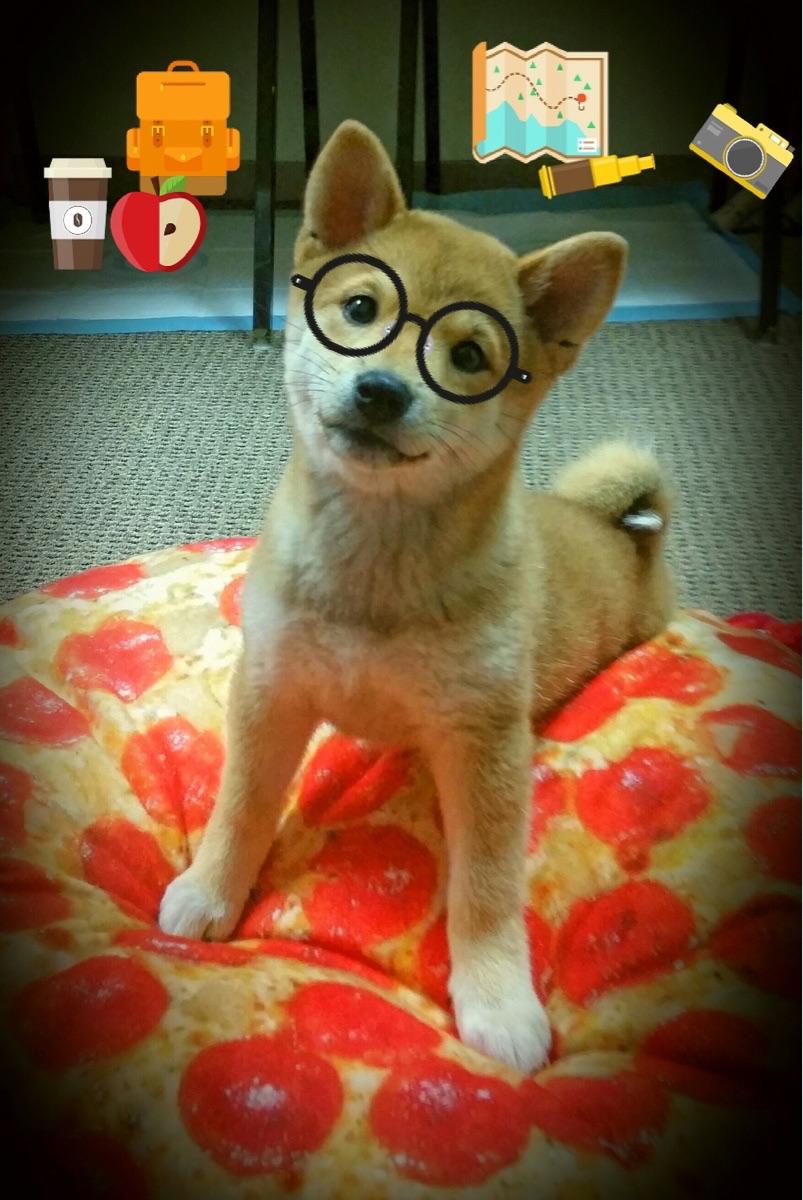 北境破壁，当杜兰特在不可能的对决中写下唯一剧本