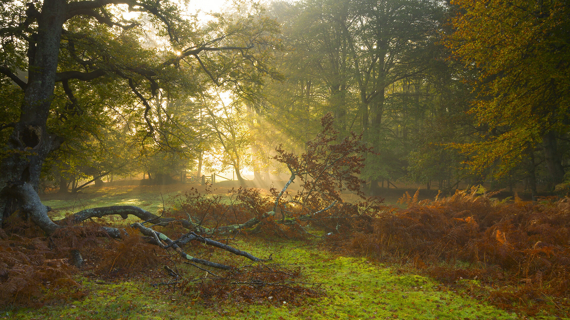 雷火电竞-窒息时刻，伦纳德冰冷一击，凯尔特人险胜宣告宿敌新章