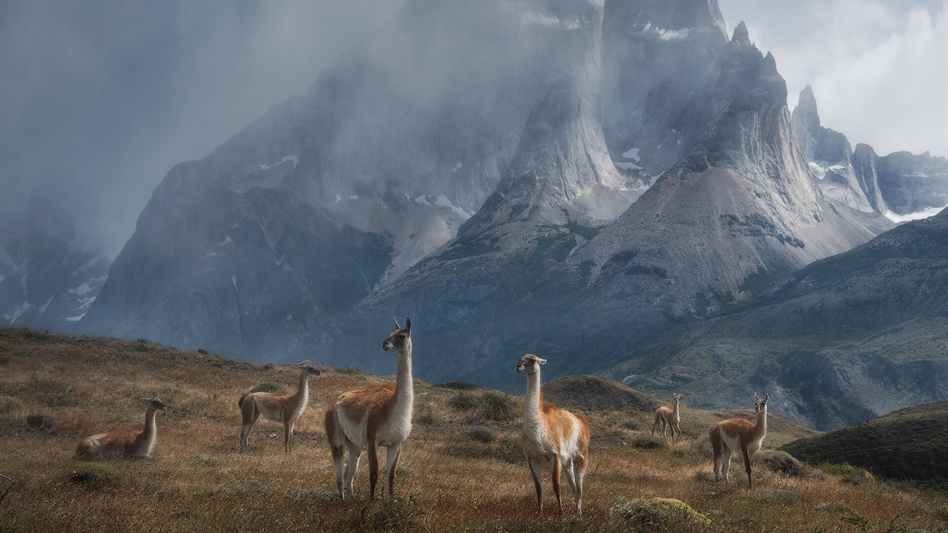 雷火电竞主播-东西方雷霆夜，杰伦格林生涯闪耀，广厦队制霸雷霆