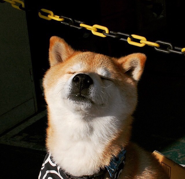 雷火电竞app-天空之城的孤勇者，库尔图瓦，在安第斯山脉的阴影下，以十指铸就唯一神迹