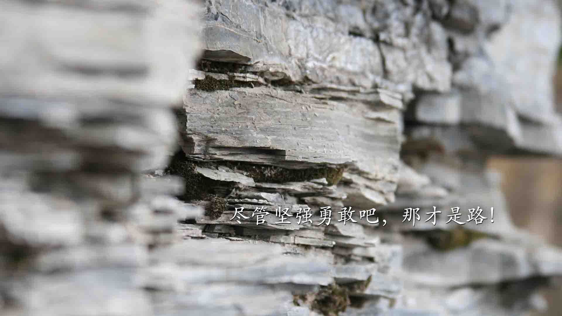 雷火电竞官网-蓝衣孤星，托纳利一人封喉，奥地利在C组暗流中掀翻哥伦比亚