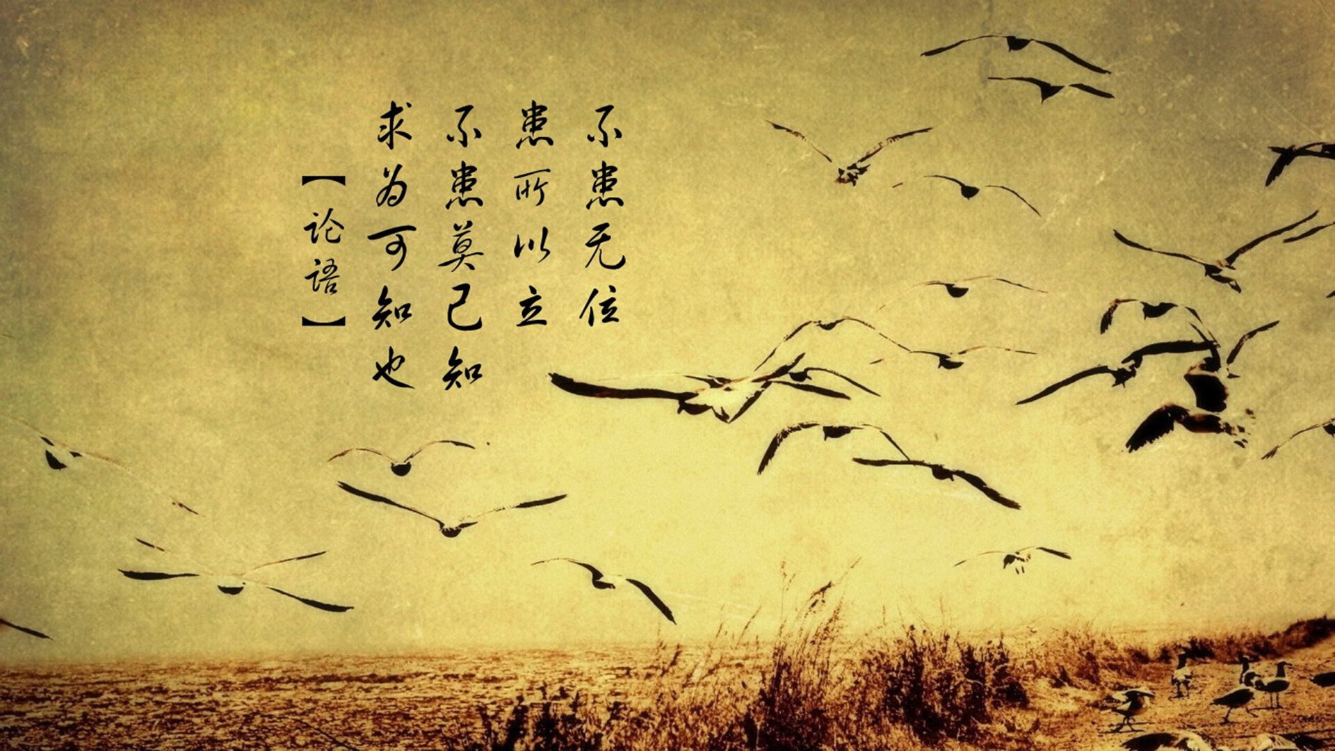 绿茵孤勇,2026世界杯A组关键战,智利绝境逆转尼日利亚,久保建英独舞定乾坤